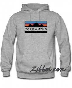 patagonia hoodie