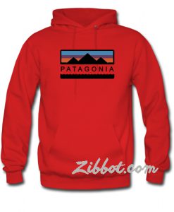 patagonia hoodie