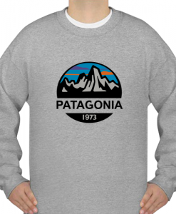 patagonia 1973 sweatshirt