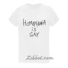 homophobia is gay t-shirt