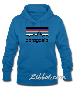 patagonia hoodie