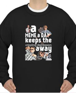 A meme a day sweatshirt