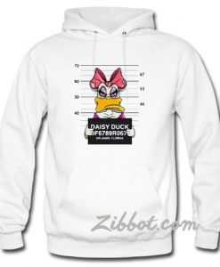 mickey mouse florida hoodie