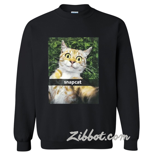 Humor Kitty Cat Snapcat Selfie sweatshirt