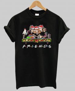 Harry Potter Ron And Hermione Friends Christmas Shirt