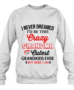 I Never Dreamed I Would Be This Crazy sweatshirt