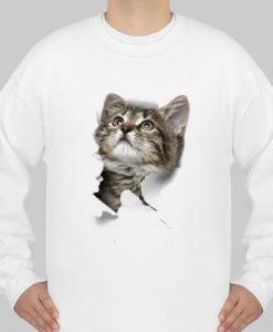 cat sweatshirts