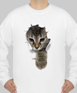 face cat sweatshirt