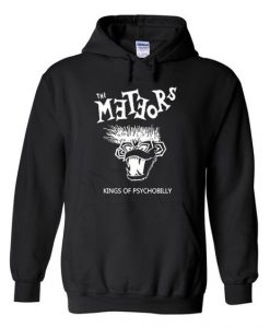 the meteors hoodie