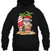 Merry Christmas Santa Claus Summer hoodie