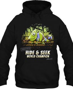 Undefeated Hide & Seek World Champion hoodie