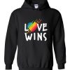 Love Wins Hoodie