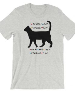 FRIENDS Phoebe Smelly Cat Song t shirt