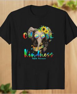 Choose Kindness Autism Awareness T Shirt