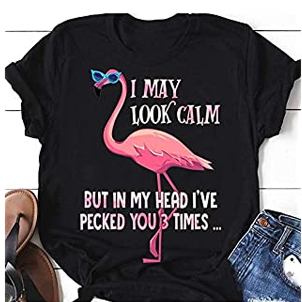 I May Look Calm Flamingo t shirt