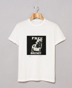 Free Britney Box T Shirt