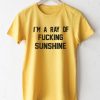 I’m A Ray Of Fucking Sunshine T-Shirt